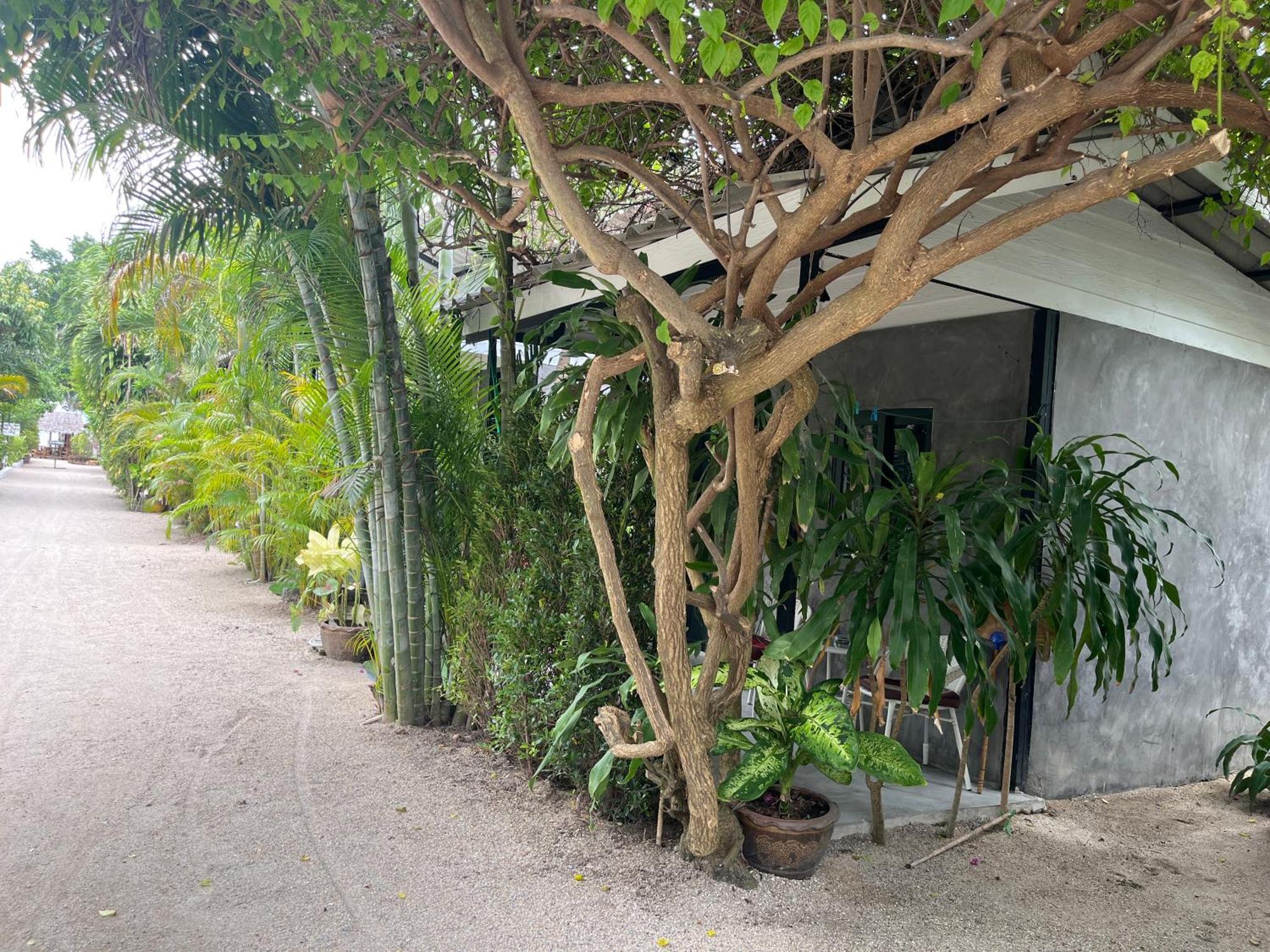 Namthip Homebeach Baan Tai Exterior foto